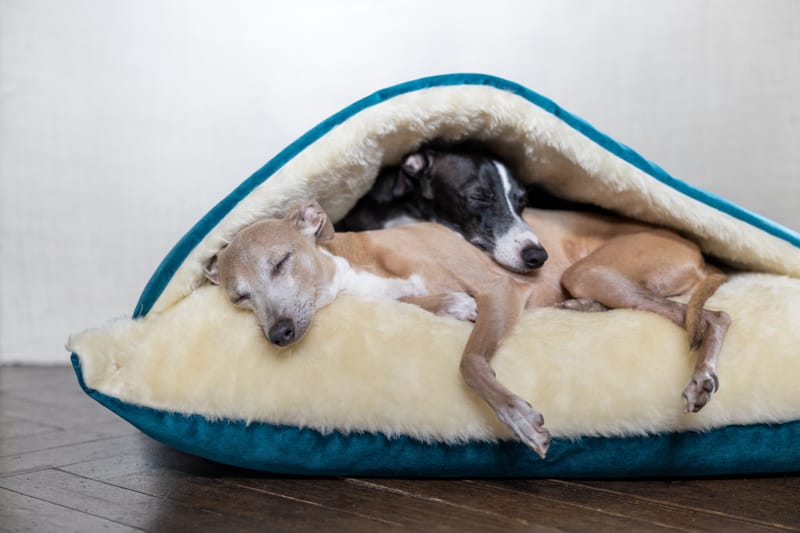Charley Chau Winter Warm Snuggle Bed For Dogs in Velour Teal