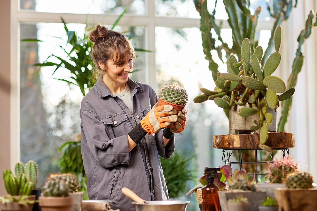 COMPO BIO GRANUPLANT® Kakteen- und Sukkulenten-Feingranulat