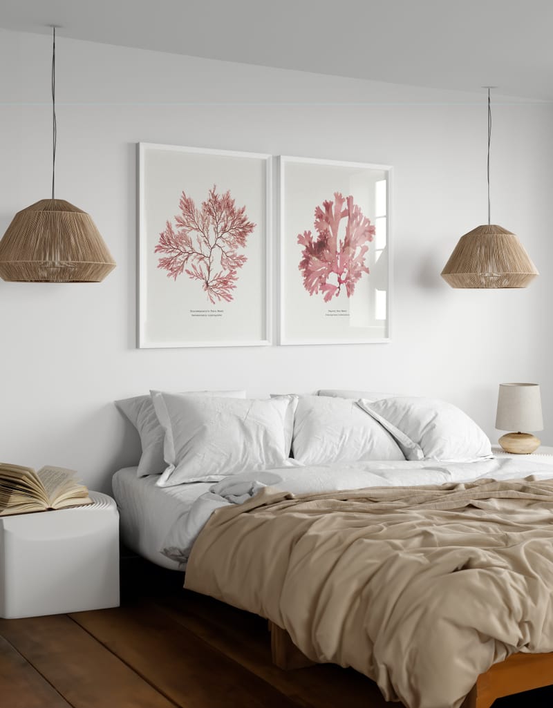 Set of 2 Pressed Seaweed Prints - Handcrafted Seaweed Art - White Frame
