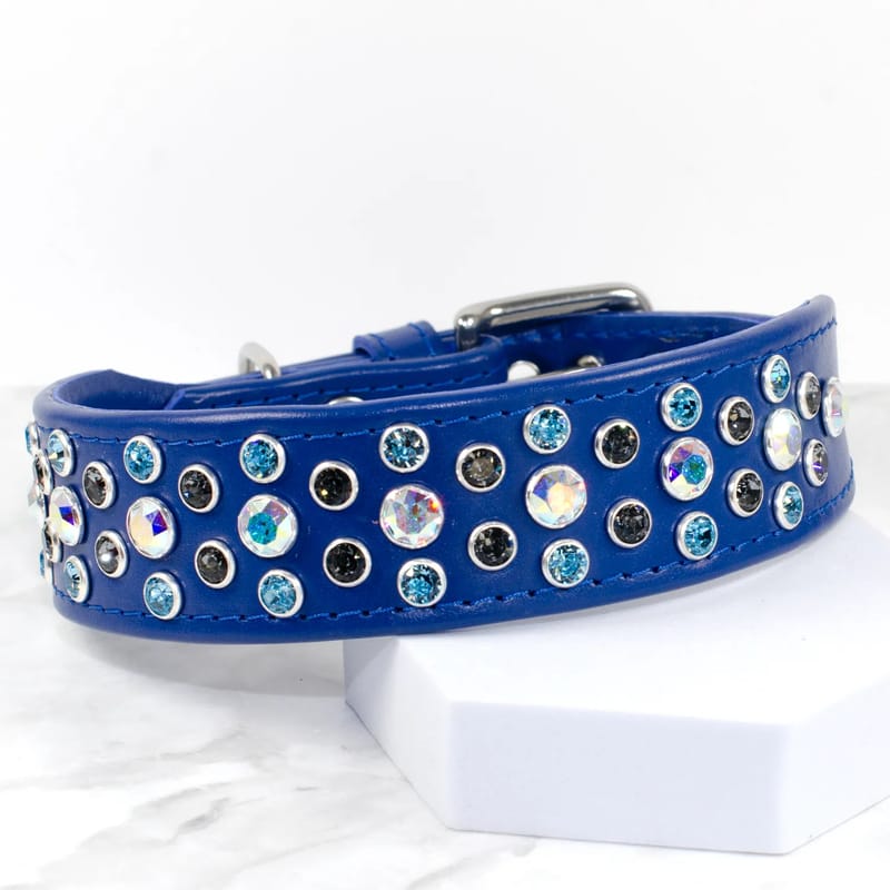 Trinity Wide Designer Dog Collar Petiquette Collars