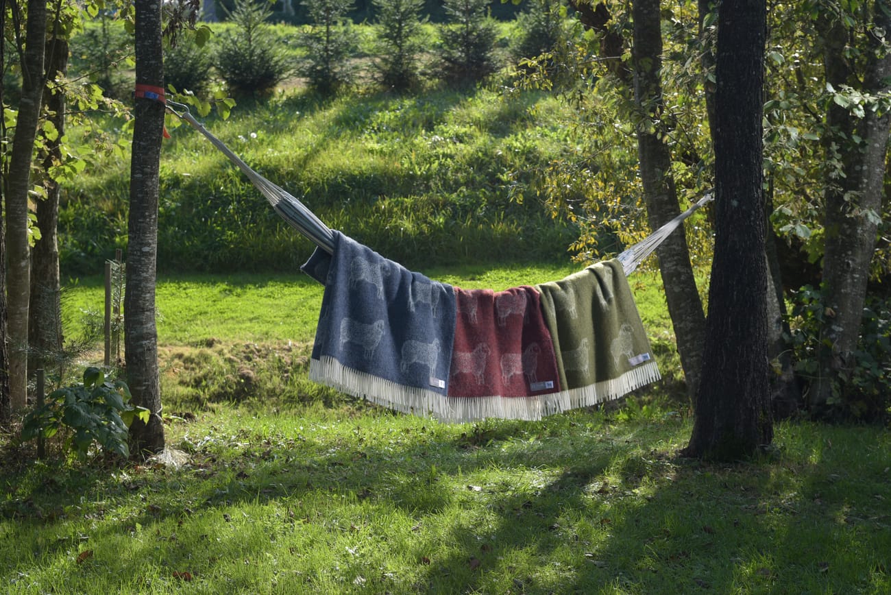 Sheep Wool Throws