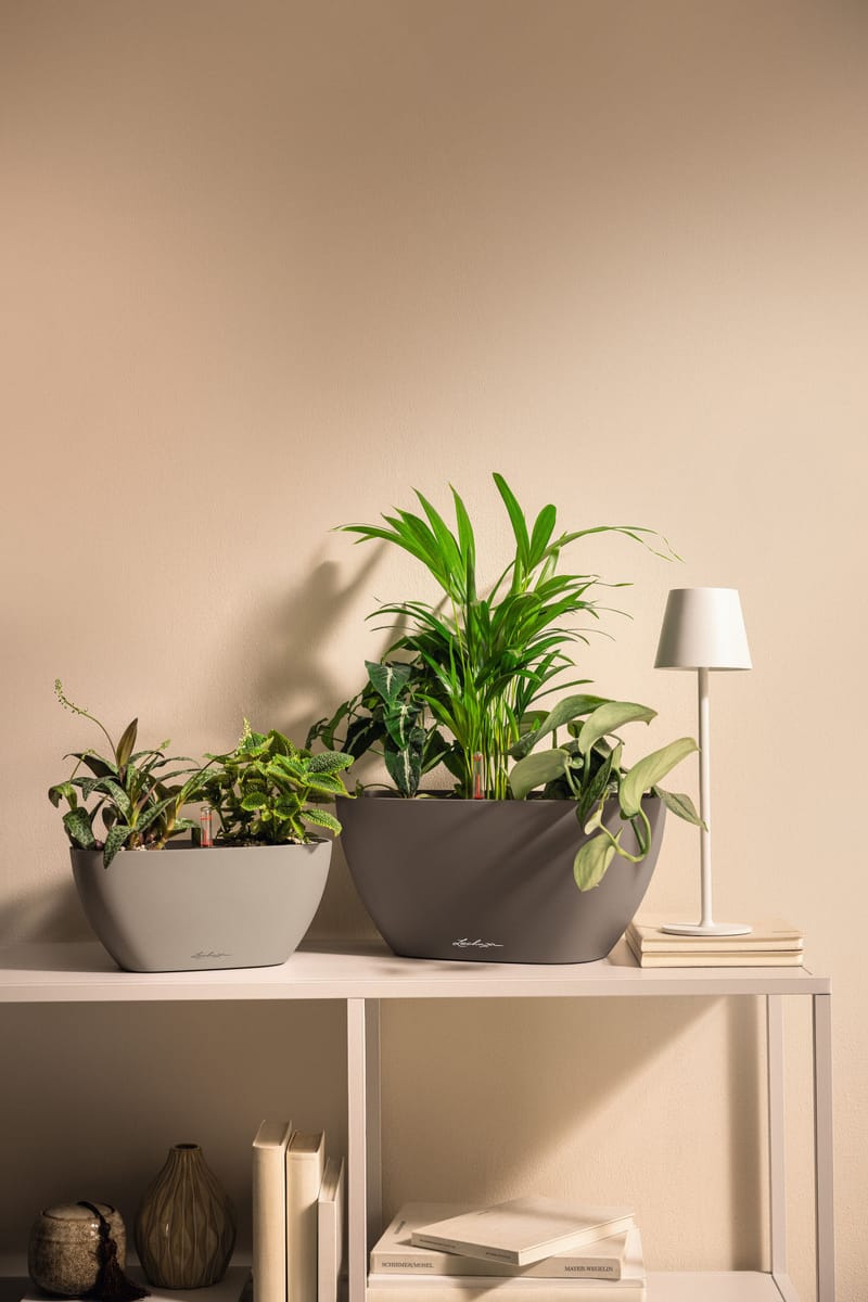 NAVIO 10 sandbraun, NAVIO 20 muskat